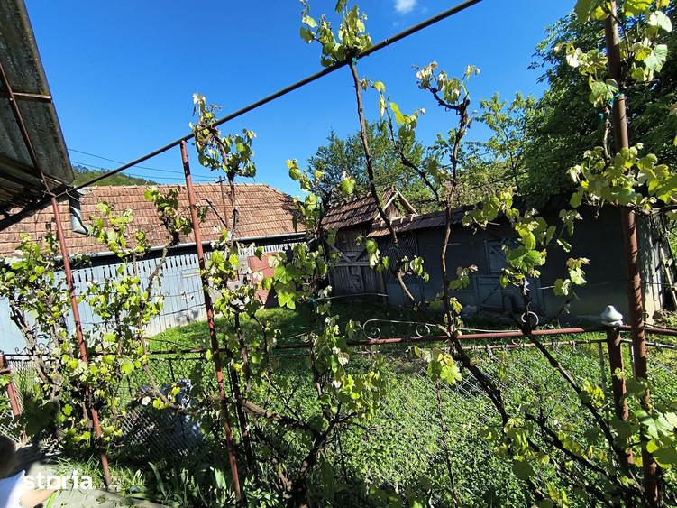Casă cu 4 camere cu Teren 1000 Mp în Ceuaș