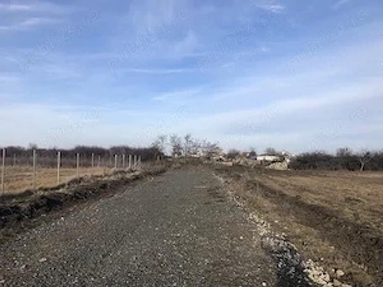 Teren de 906 mp, în Torontalului