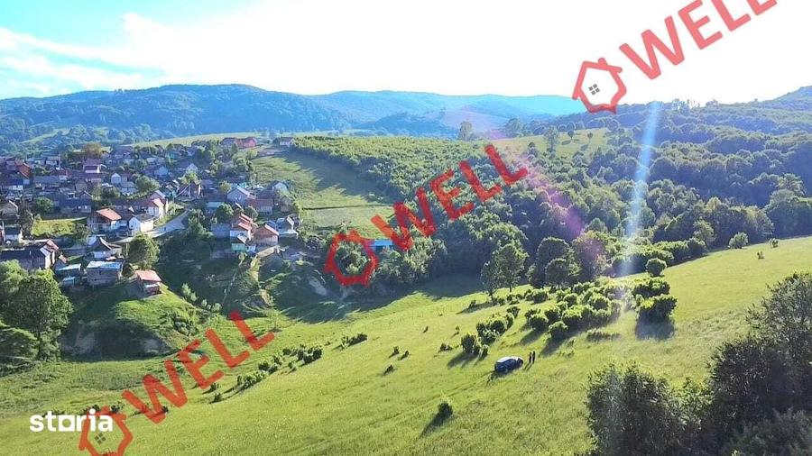 Teren de 8163 mp, în Vama Buzăului