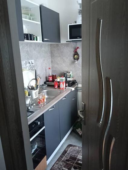 Apartament cu 2 camere nedecomandat, mobilat în Alexandru cel Bun