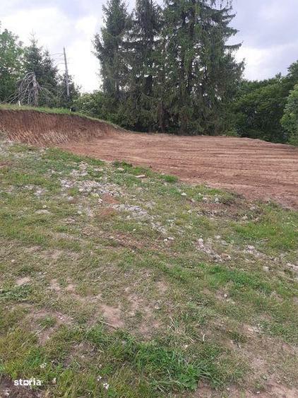 Teren de 25000 mp, în Șugag