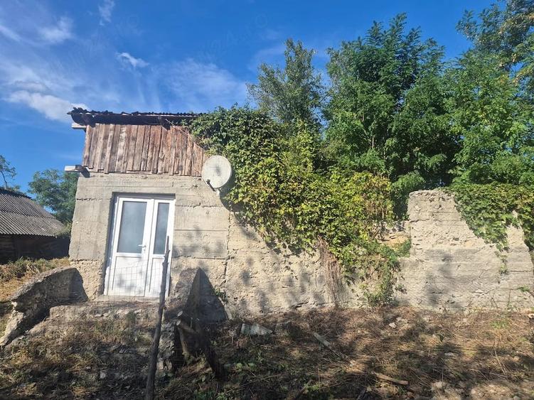 Teren de 3500 mp, în Păuliș