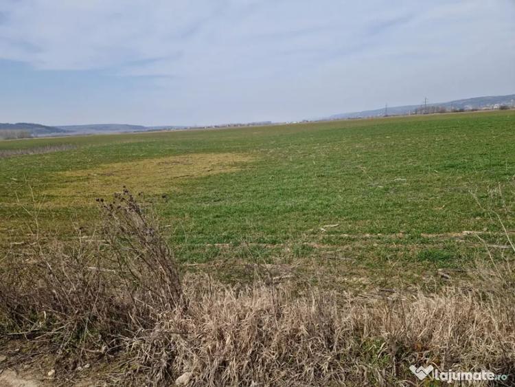 Teren de 3300 mp, în Șimnicu de Sus