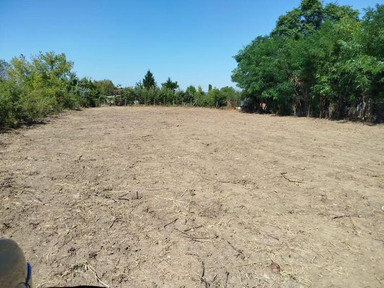 Teren intravilan de 1074 mp, în Vișani