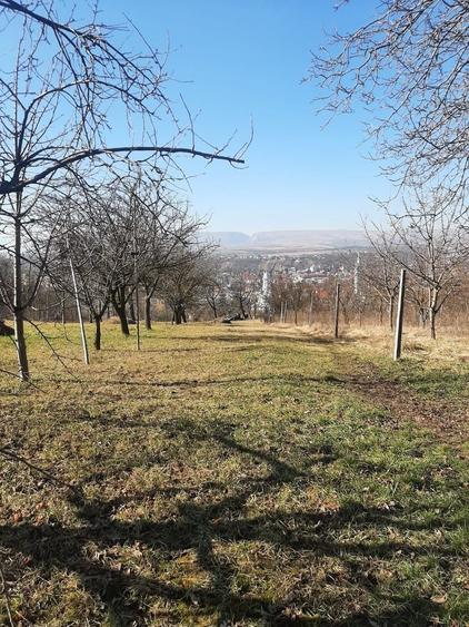 Teren Construcții intravilan de 2800 mp, în Central