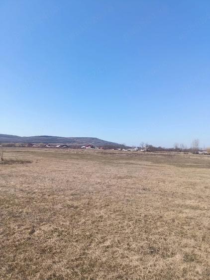 Teren de 10000 mp, în Golăiești