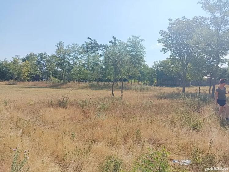 Teren de 7000 mp, în Dor Mărunt