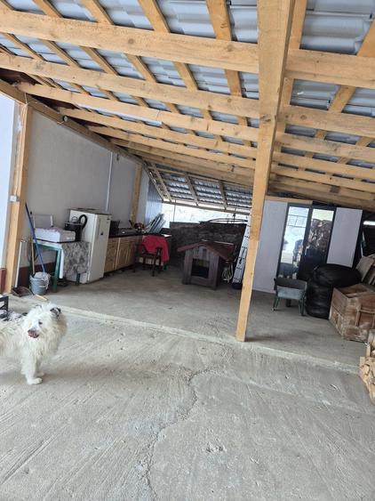 Casă cu 2 camere cu Teren 720 Mp în Moneasa