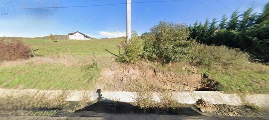 Teren de 5000 mp, în Crainimăt