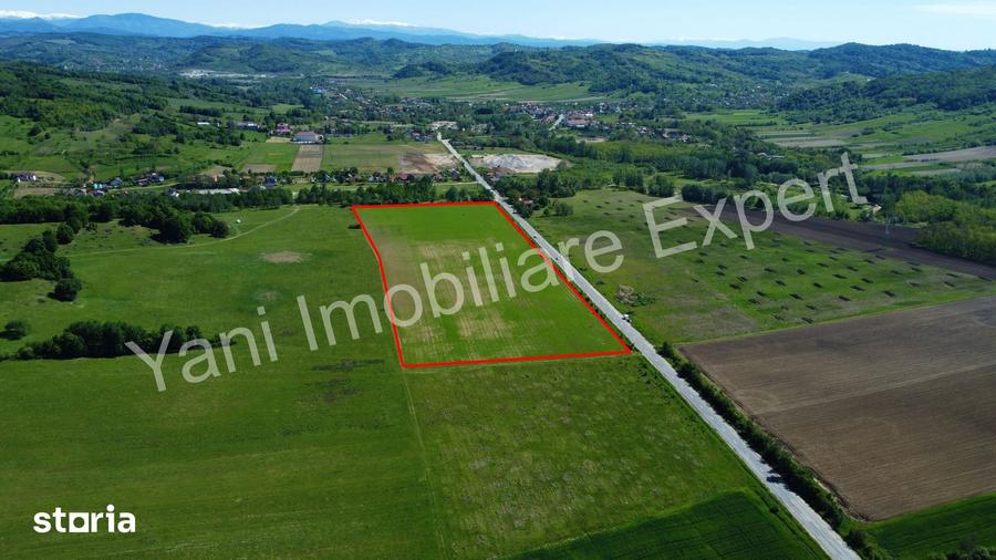 Teren de vanzare in comuna Tigveni, jude? Arge? ( 69.700 mp ) - 4
