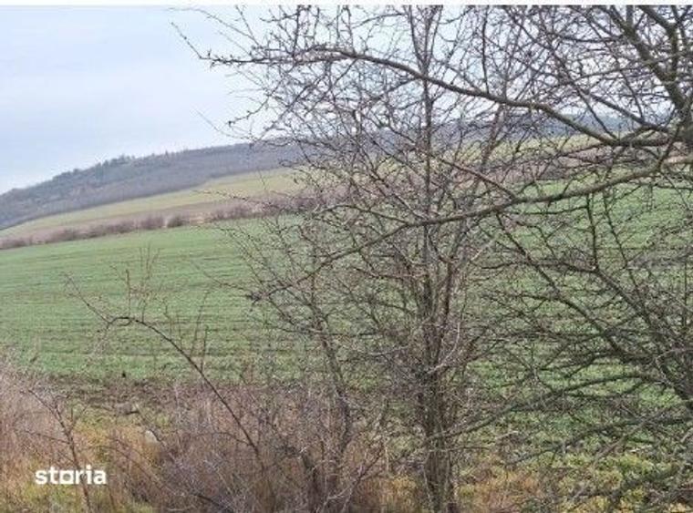 Teren de 18800 mp, în Deleni