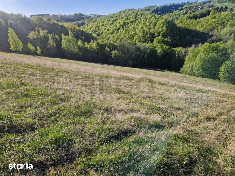 Teren de 33210 mp, în Girișu de Criș