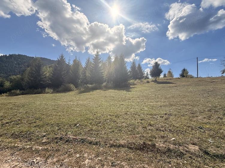 Teren de 4500 mp, în Lunca