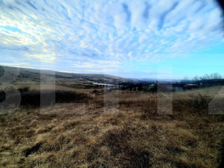 Teren Construcții intravilan de 2900 mp, în Sopor