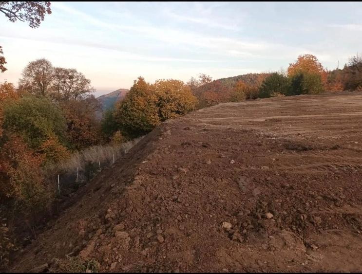 Vand teren intravilan sat. Plopii, com. Valea Ierii - 6