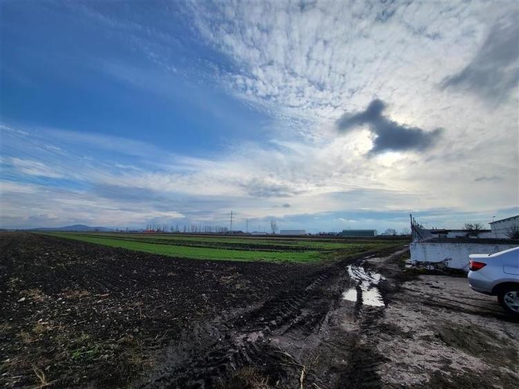 Teren Construcții extravilan de 28100 mp, în Hălchiu