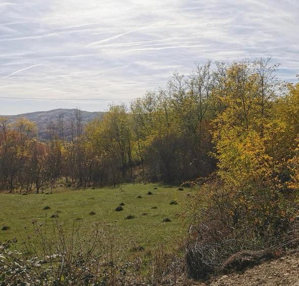 Teren de 2500 mp, în Vitioara de Sus