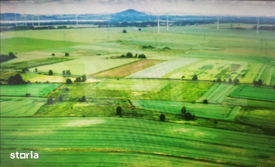 Teren la malul Dunarii, 2100mp, pret negociabil. - 1