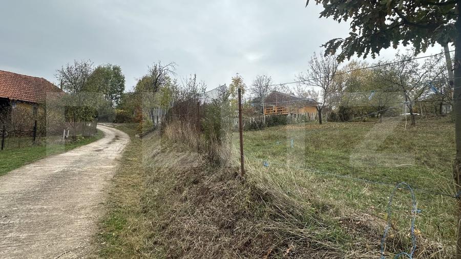 Teren agricol intravilan de 4950 mp, în Toplița Mureșului