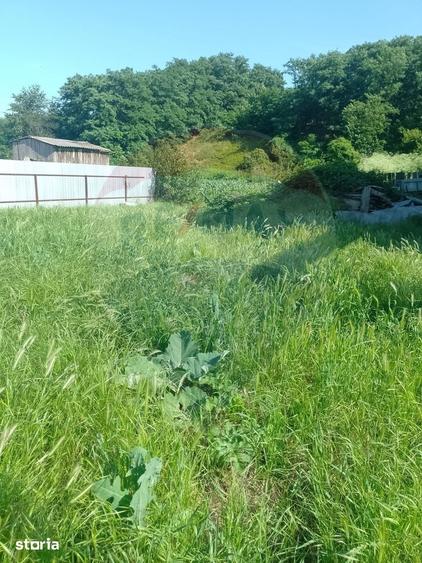Teren de 1245 mp, în Pâncești