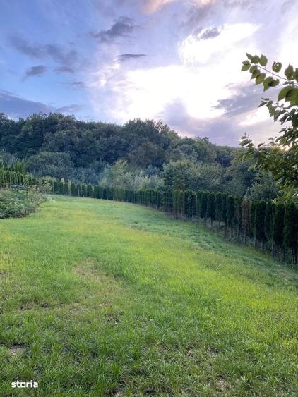 Vanzare teren 3000 mp, cabana, zona D D Rosca, Faget - 1