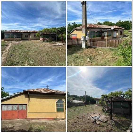 Casa + teren 1464 mp de vanzare in Dai?a, Giurgiu | Strada principala