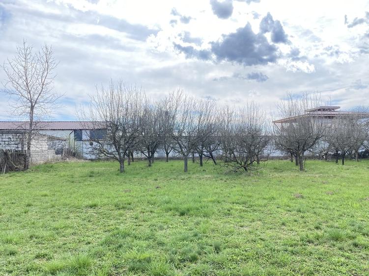 Teren în Pruni