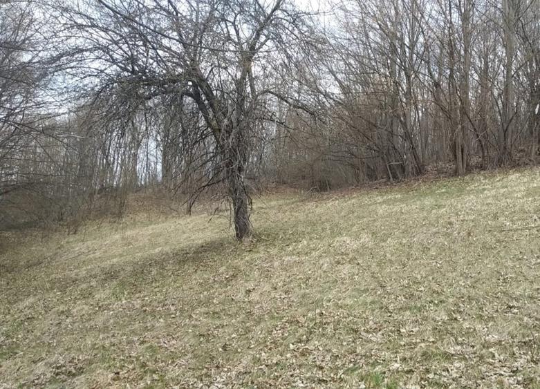 Teren de 6333 mp, în Brebu