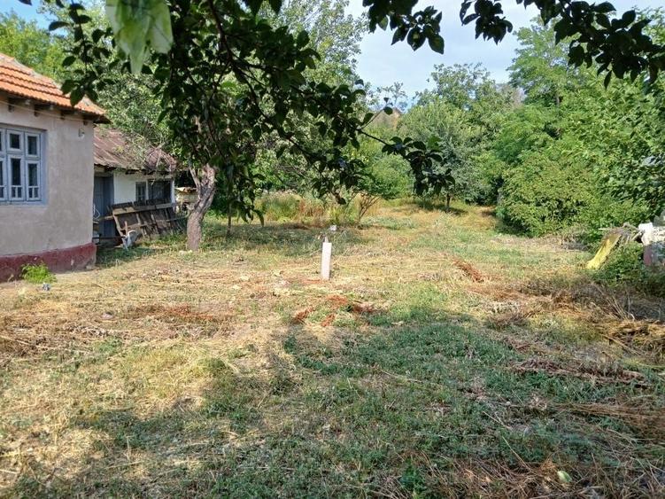 Casă cu 4 camere în Scurtești
