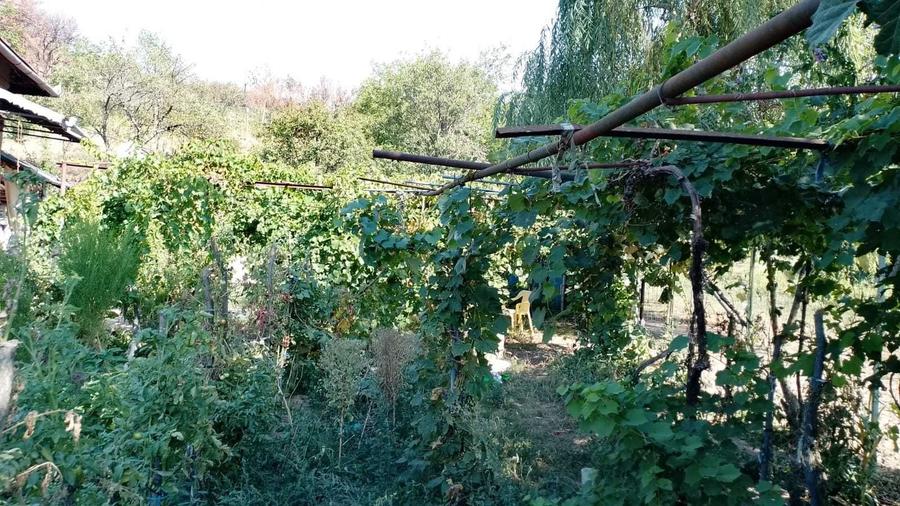 Casă cu 3 camere în Livezi