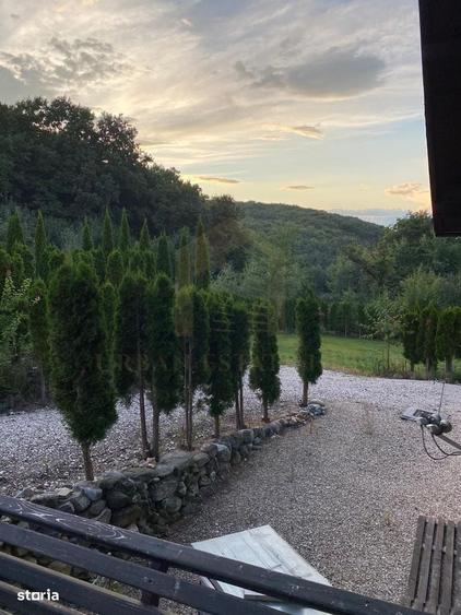 Vanzare teren 3000 mp, cabana, zona D D Rosca, Faget - 3