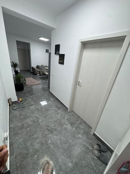 Apartament cu 3 camere decomandat în Lipovei