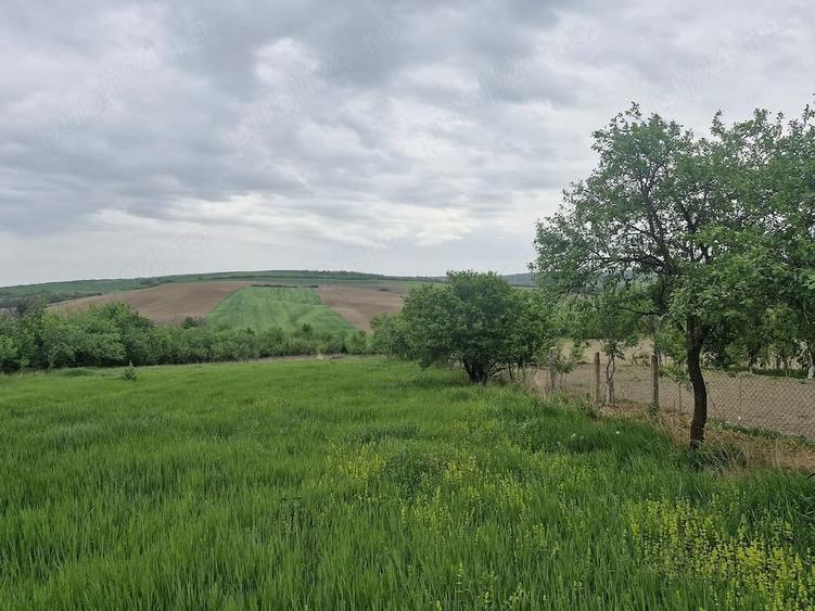 Casă cu 2 camere cu Teren 4561 Mp în Hidiș