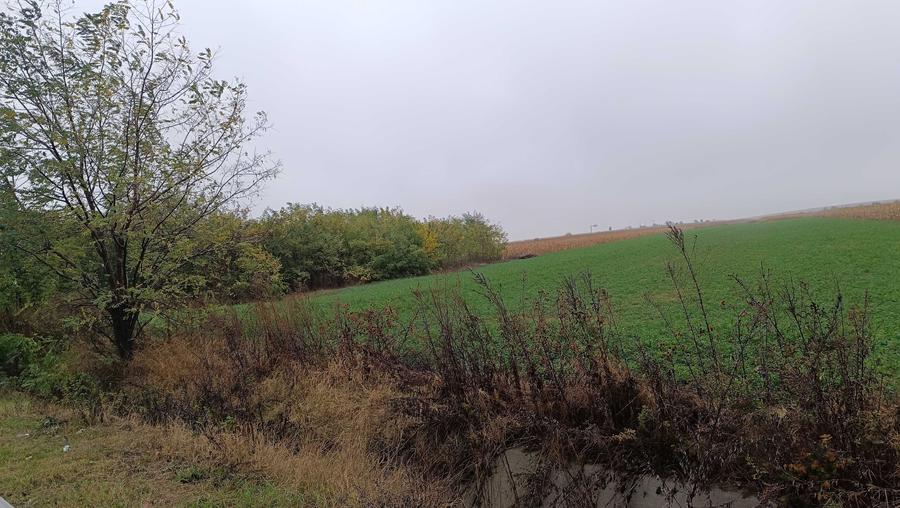 Teren de 6200 mp, în Luizi-Călugăra