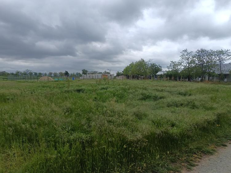 Teren Construcții intravilan de 894 mp, în Comana
