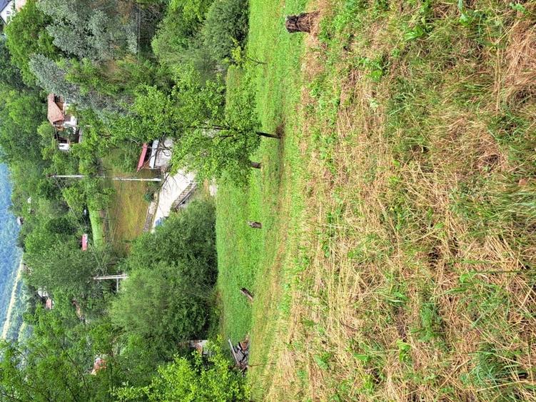 Teren de 4500 mp, în Moroeni