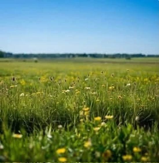 Teren de 3600 mp, în Sălicea