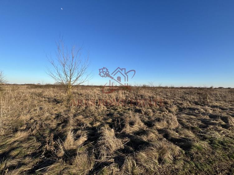 Teren agricol extravilan de 5000 mp, în Moșnița Veche