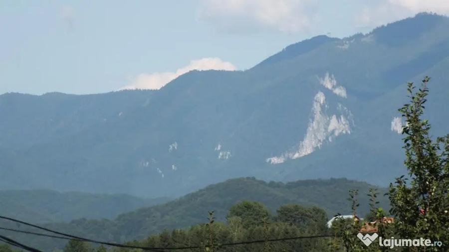 Teren în Bran