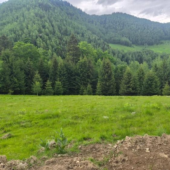 Teren de 300 mp, în Brădățel