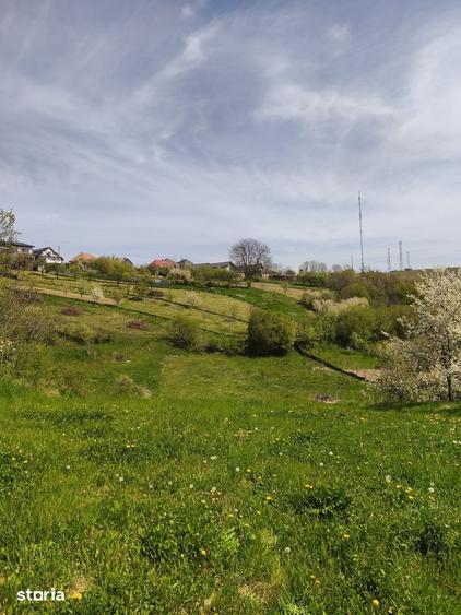 Teren de 1329 mp, în Feleacu