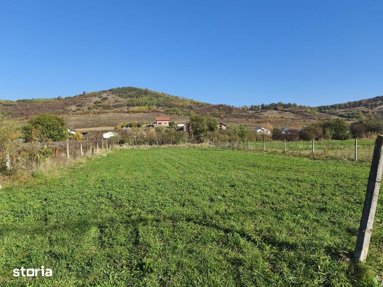 Teren de 1450 mp, în Livezeni
