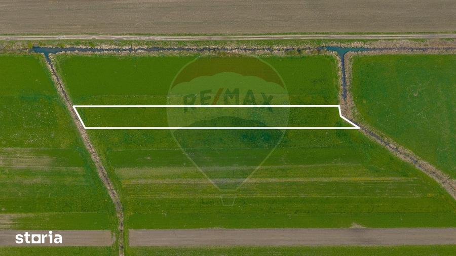 Teren de 4000 mp, în Prejmer
