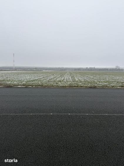 Teren de 30000 mp, în Săucești