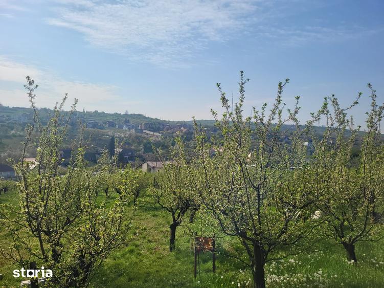 Teren de 3405 mp, în Spitalul Județean