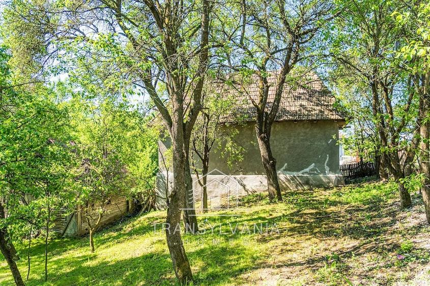 Casă cu Teren 1368 Mp în Livada (Petreștii de Jos)