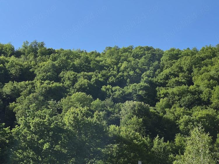 Teren de 8 mp, în Coaș