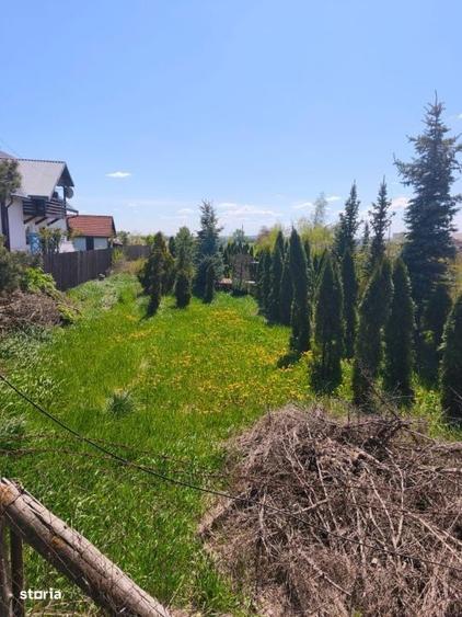 Teren intravilan, 4600mp, zona Francei, Radauti - 3