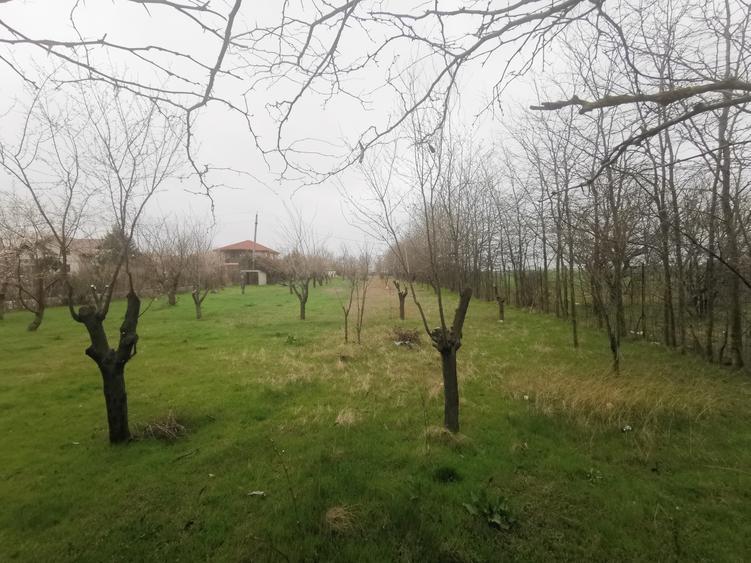 Teren Construcții intravilan de 4350 mp, în Techirghiol