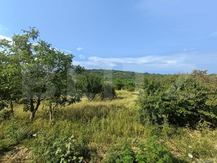 Teren intravilan, de vanzare, 1252 mp, zona Arghires - 1